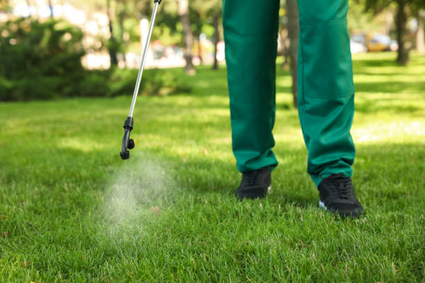 Best Emergency Pest Control  in Chalfant, CA