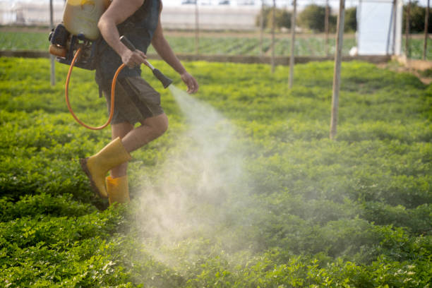 Best Residential Pest Control  in Chalfant, CA